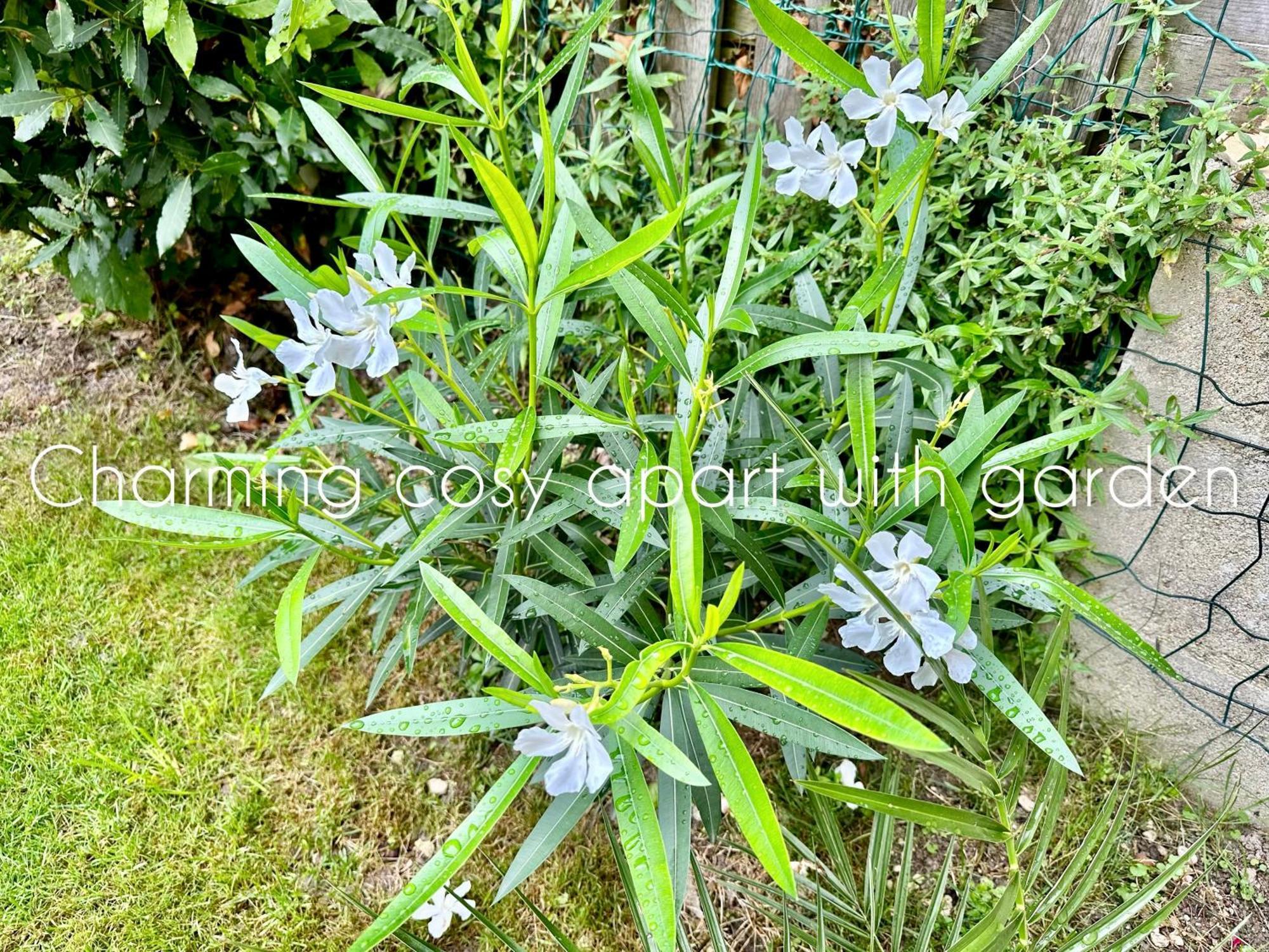 Charming Cosy Apart With Garden Free Parking Claye-Souilly Exteriör bild